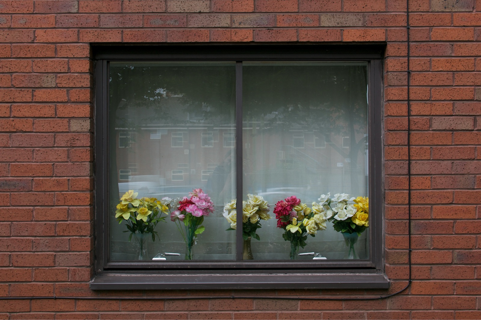 Photo of 5 vases of flowers in a window