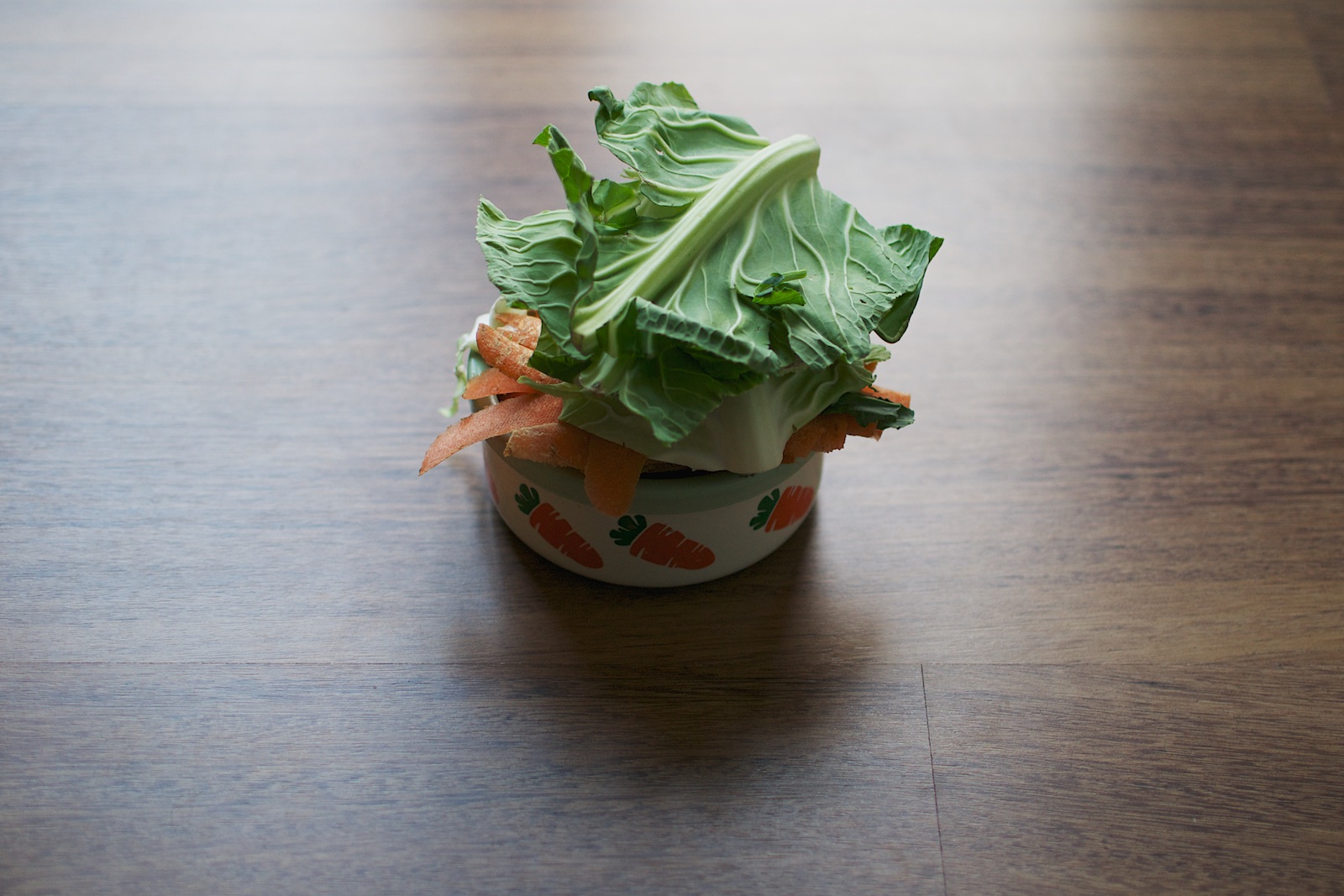 rabbit food